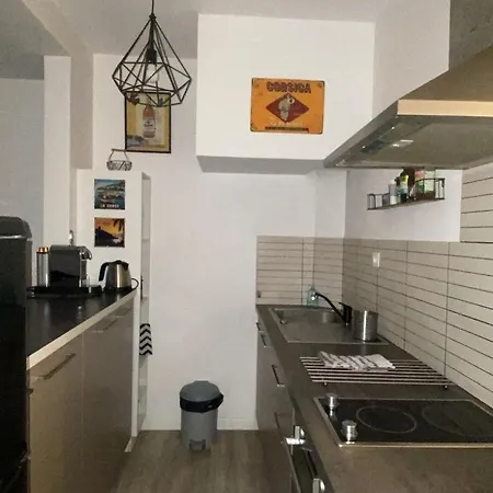 Apartamento 41m2 Route Des Sanguinaires Terrasse Vue *